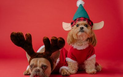 Happy Christmas? No, grazie!